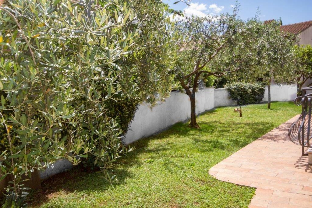 Villa Sveta Eufemija - Bed And Breakfast Rovinj Dış mekan fotoğraf